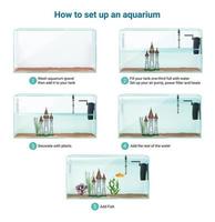 configuration d'aquarium infographie réaliste vecteur