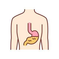 icône de couleur d'estomac sain. organe humain en bonne santé. bien-être des gens. système digestif fonctionnel. partie interne du corps en bon état. tractus gastro-intestinal sain. illustration vectorielle isolée vecteur