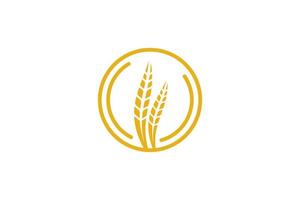 vecteur de conception de modèle de logo de blé, icône illustration