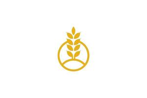 vecteur de conception de modèle de logo de blé, icône illustration