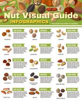 Infographie Nuts Set vecteur