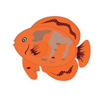 poisson orange isolé sur fond blanc. illustration vectorielle. e vecteur