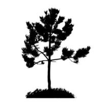 silhouette d'arbre isolé sur fond blanc. illustration vectorielle vecteur