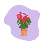 belle fleur dans un pot. planter en pot. anthurium vecteur