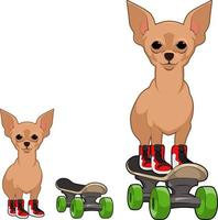 chihuahua sur la mascotte de la planche à roulettes vecteur