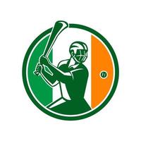 icône du drapeau de l'irlande hurling vecteur