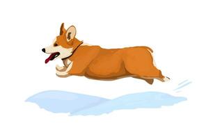corgi chien court vite dans dessin animé style. Noël autocollant avec neige ou impression sur une agresser ou carte avec une corgi vecteur