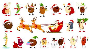 dessin animé Noël des noisettes, haricot et légumineuse personnages vecteur