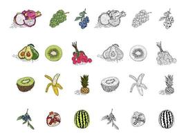 ensemble de vecteurs de style dessinés à la main de fruits.
