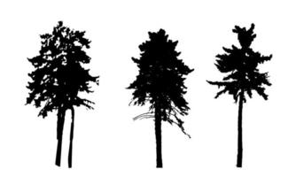 silhouette d'arbre isolé sur fond blanc. illustration vectorielle vecteur