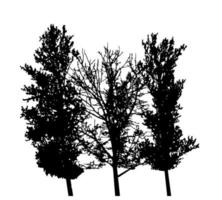 silhouette d'arbre isolé sur fond blanc. illustration vectorielle vecteur