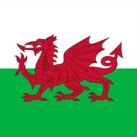 drapeau national de la place du pays de Galles vecteur