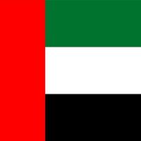 drapeau national carré des émirats arabes unis vecteur