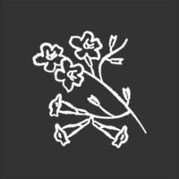 icône de plumeria craie blanche sur fond noir. arbre ipé. fleur tropicale. fleur brésilienne. plante sud-américaine. fleuron exotique. botanique. illustration de tableau de vecteur isolé
