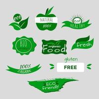 collection d'icônes plates de timbres isolés verts mis en produits bio respectueux de l'environnement aliments frais sains étiquettes d'étiquettes biologiques autocollants vecteur