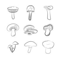 jeu d'icônes de champignons contour graphique vectoriel isolé doodle dessin. impression de croquis de nourriture végétale de saison d'automne de forêt.
