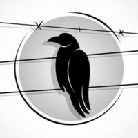 Vector illustration de la silhouette d'un corbeau en grunge