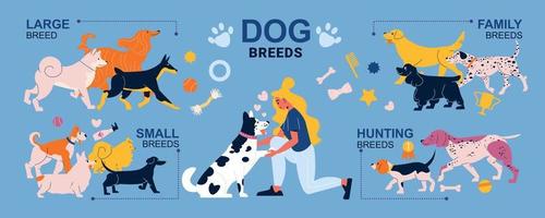 infographie des races de chiens vecteur