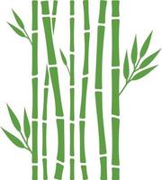 tiges de bambou avec des feuilles vecteur