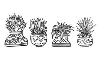 ensemble d'illustrations vectorielles dessinées à la main de plantes en pot, éléments graphiques isolés de plantes pour la conception, illustration de plantes avec des feuilles pour créer un design romantique ou vintage