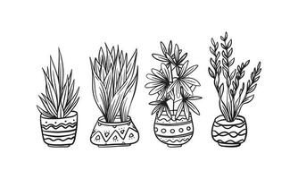 ensemble d'illustrations vectorielles dessinées à la main de plantes en pot, éléments graphiques isolés de plantes pour la conception, illustration de plantes avec des feuilles pour créer un design romantique ou vintage vecteur