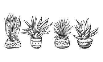 ensemble d'illustrations vectorielles dessinées à la main de plantes en pot, éléments graphiques isolés de plantes pour la conception, illustration de plantes avec des feuilles pour créer un design romantique ou vintage.