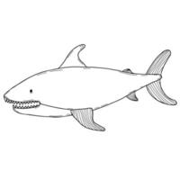 requin en colère. illustration vectorielle. élément linéaire pour la conception et la décoration de griffonnage à la main vecteur