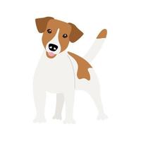 chien de race jack russell terrier vecteur