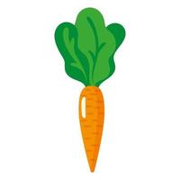 légume de carotte fraîche de dessin animé de vecteur. vecteur