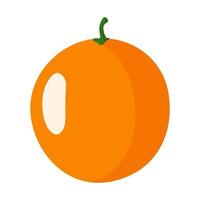 fruits orange frais de dessin animé de vecteur. vecteur