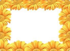 Bordure fleur de marguerite jaune vecteur