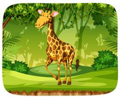 Une girafe dans la forêt vecteur