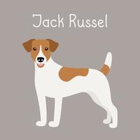 chien de race jack russell terrier vecteur