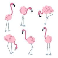 collection de flamants roses doodle. vecteur