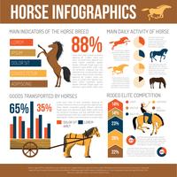 Affiche plat de présentation de races de chevaux vecteur