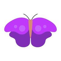 notions de papillon monarque vecteur