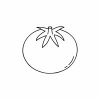 tomate dans le style de griffonnage. illustration de contour dans le style de dessin à la main vecteur