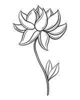 illustration vectorielle isolée belle fleur dessinés à la main vecteur