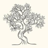 arbre à feuilles caduques dessinés à la main illustration vectorielle isolé vecteur