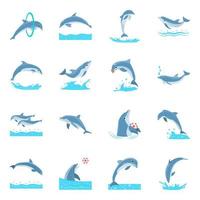 concepts de dauphins de dessin animé vecteur