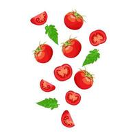 tomate de légumes frais tombant avec des morceaux coupés et des feuilles vecteur
