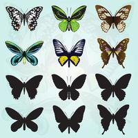 différentes couleurs et types de papillons vecteur