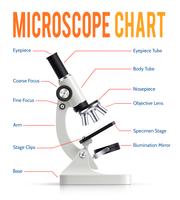 Tableau de présentation infographique des pièces de microscope réaliste vecteur