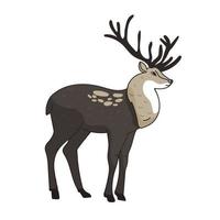 image dessinée à la main de buck avec de grands bois de cerf mignon. illustration vectorielle animal isolé sur fond blanc pour le site Web de panneaux d'affichage de produits de chasse, dessin à la main de dessin animé de la faune vecteur