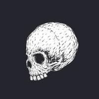 illustration vectorielle de crâne vecteur