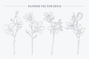 collection de dessins de fleurs de vecteur créatif