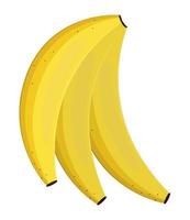 banane fruits tropicaux vecteur