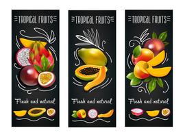 Jeu d&#39;étiquettes de tableau de fruits tropicaux vecteur