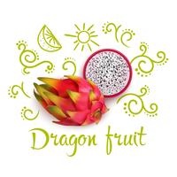 Doodles Autour Du Fruit Du Dragon vecteur