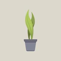 illustration de plante tropicale plat minimaliste vecteur